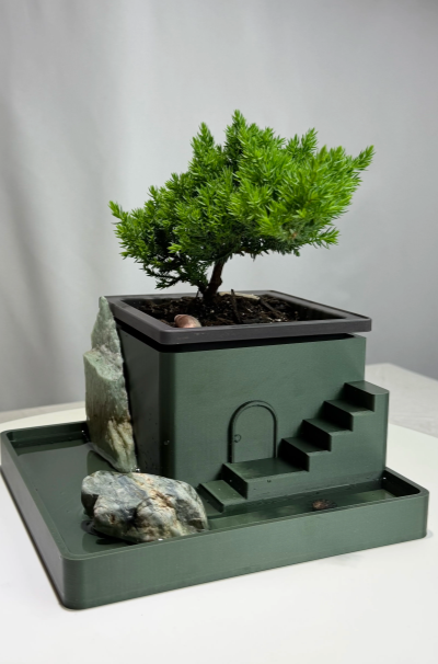 Mini Architectural Paludarium Planter